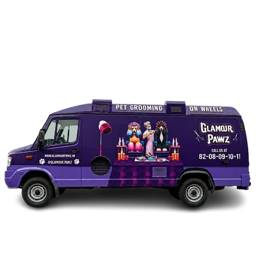 Glamour Pawz pet grooming van arriving outside a Kanpur home